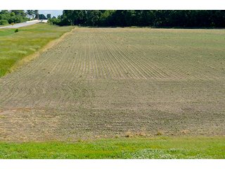 Property photo 28 - FARM & LAND AUCTION - 125+/- ACRES OFFERED IN 5 TRACTS IN EAST ALLEN COUNTY, INDIANA